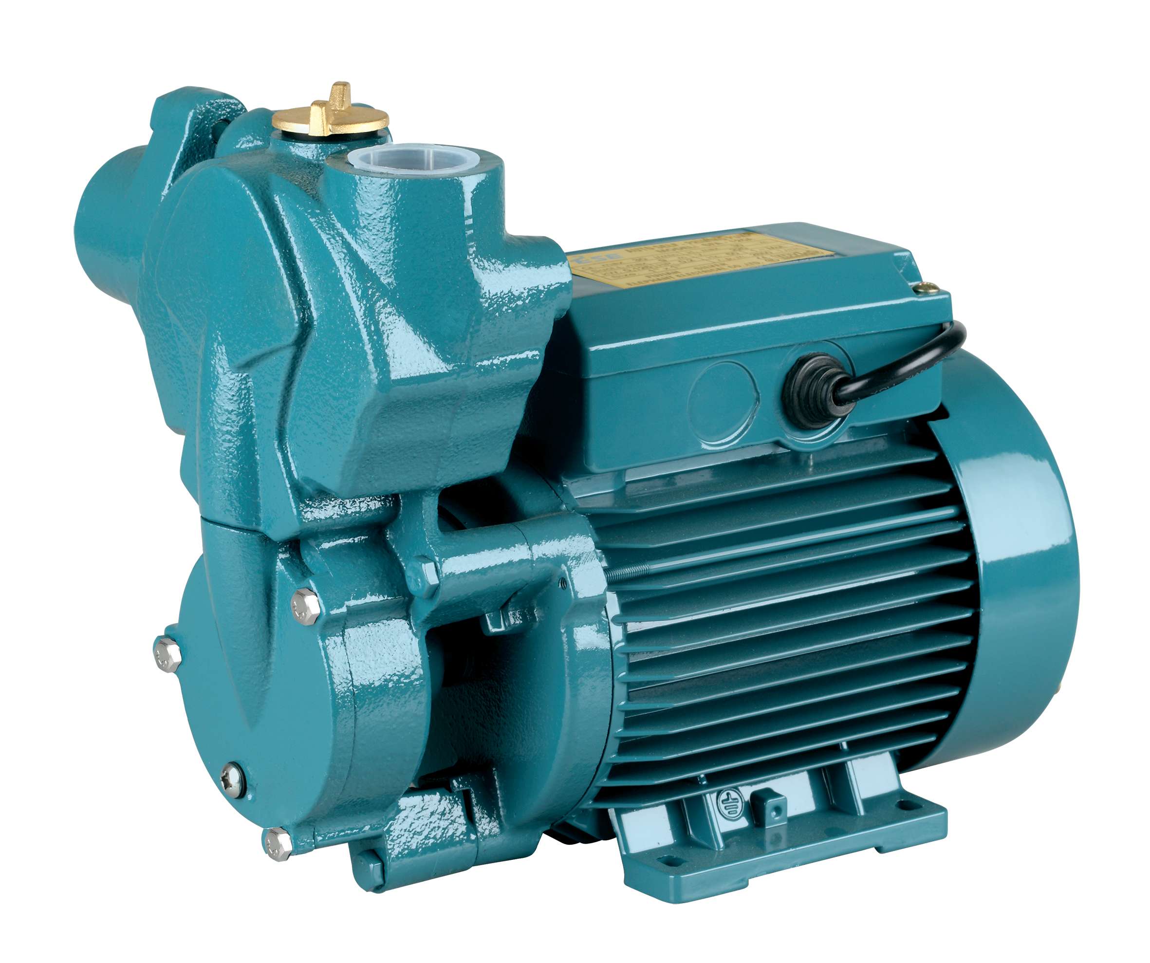 SFA-250 Self-priming &nbsp;clean water pump